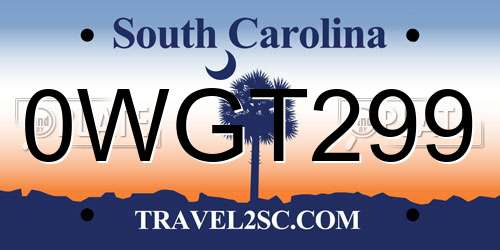 0WGT299 South Carolina License Plate