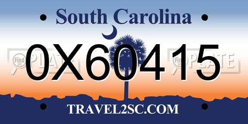 0X60415 South Carolina License Plate