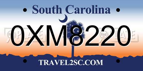 0XM8220 South Carolina License Plate