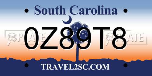 0Z89T8 South Carolina License Plate