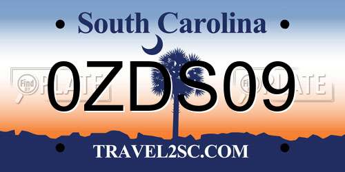 0ZDS09 South Carolina License Plate