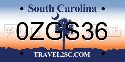 0ZGS36 South Carolina License Plate