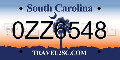 0ZZ6548 South Carolina License Plate