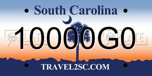 10000G0 South Carolina License Plate