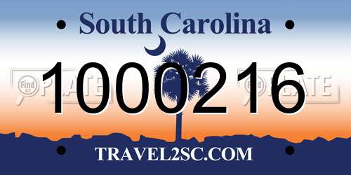 1000216 South Carolina License Plate
