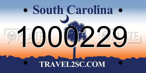 1000229 South Carolina License Plate