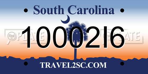 10002I6 South Carolina License Plate