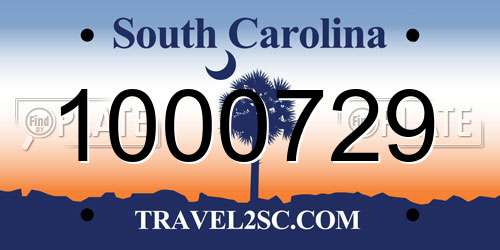 1000729 South Carolina License Plate