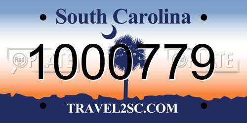 1000779 South Carolina License Plate