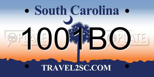 1001BO South Carolina License Plate