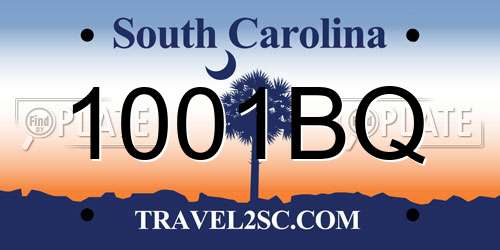1001BQ South Carolina License Plate