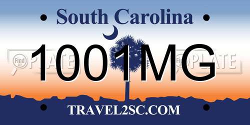 1001MG South Carolina License Plate
