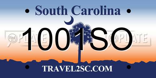 1001SO South Carolina License Plate