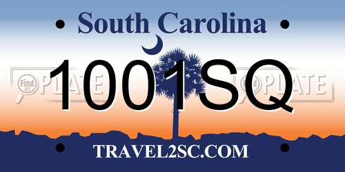 1001SQ South Carolina License Plate
