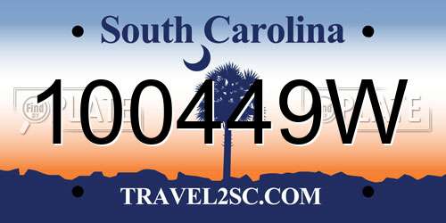 100449W South Carolina License Plate
