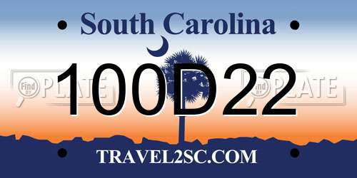 100D22 South Carolina License Plate