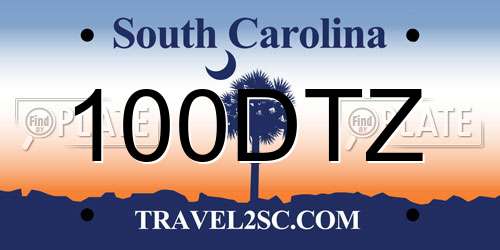 100DTZ South Carolina License Plate