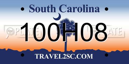 100H08 South Carolina License Plate