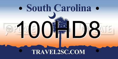 100HD8 South Carolina License Plate