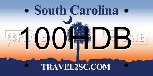 100HDB South Carolina License Plate