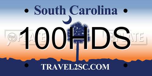 100HDS South Carolina License Plate