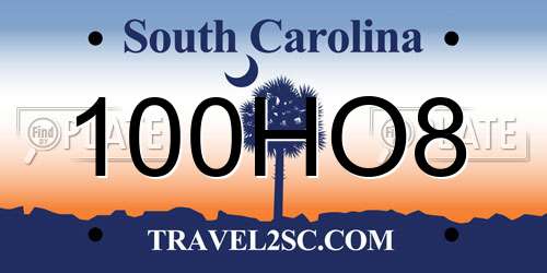 100HO8 South Carolina License Plate