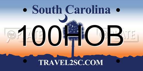 100HOB South Carolina License Plate