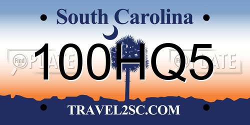100HQ5 South Carolina License Plate