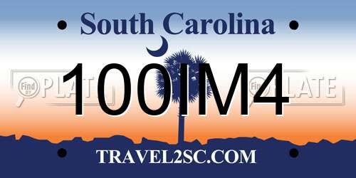 100IM4 South Carolina License Plate