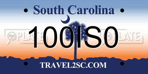 100IS0 South Carolina License Plate