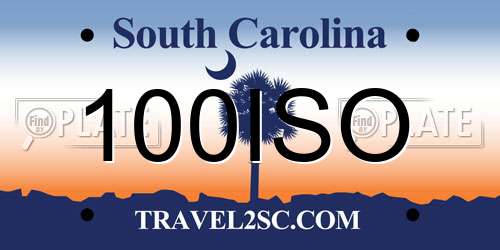 100ISO South Carolina License Plate