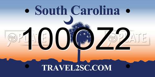 100OZ2 South Carolina License Plate