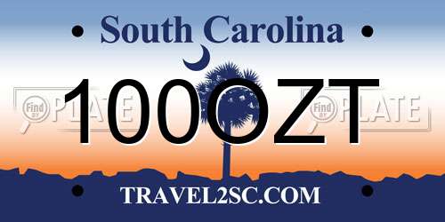 100OZT South Carolina License Plate