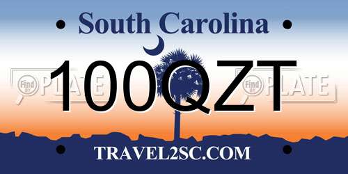 100QZT South Carolina License Plate