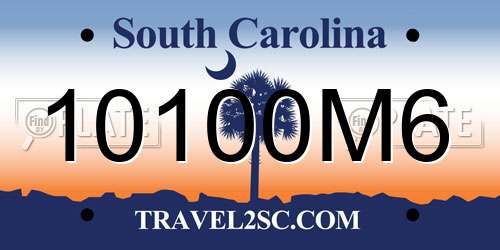 10100M6 South Carolina License Plate