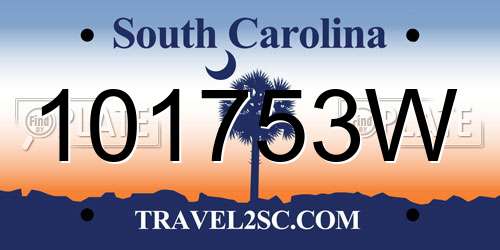 101753W South Carolina License Plate