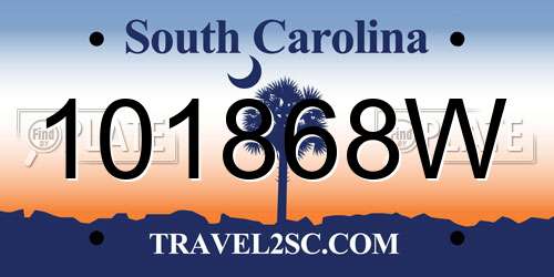 101868W South Carolina License Plate