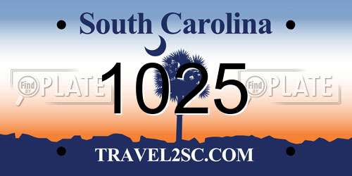 1025 South Carolina License Plate