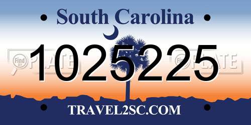 1025225 South Carolina License Plate
