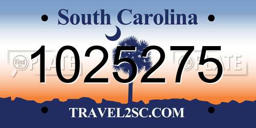 1025275 South Carolina License Plate
