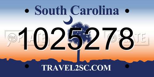 1025278 South Carolina License Plate