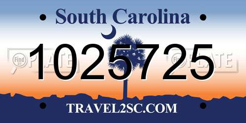 1025725 South Carolina License Plate