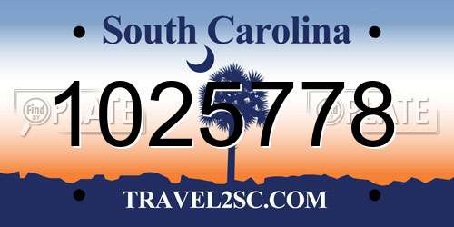 1025778 South Carolina License Plate