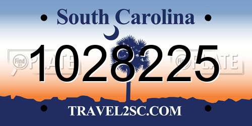 1028225 South Carolina License Plate