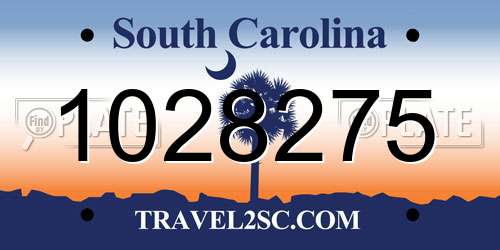 1028275 South Carolina License Plate