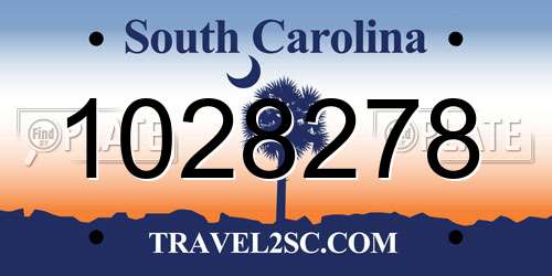 1028278 South Carolina License Plate