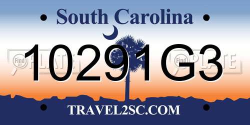 10291G3 South Carolina License Plate