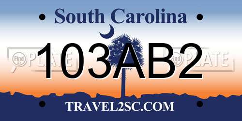 103AB2 South Carolina License Plate