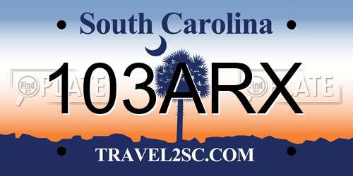 103ARX South Carolina License Plate