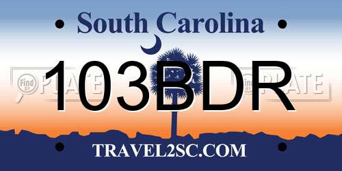 103BDR South Carolina License Plate